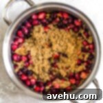 Fresh cranberries, orange zest, and brown sugar mixed together in a pot.