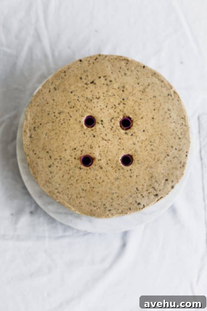 Mastering Two-Tier Cakes: Baking and Stacking Techniques 21 4 holes from straws on the top of a cake