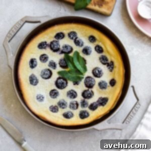 Bourbon Cherry Clafoutis 10 A cherry clafoutis made in a GRIZZLY nickel plated cast iron pan on a gray background.