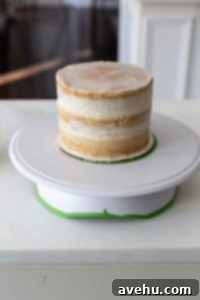 Your Guide to Stunning Floral Naked Cakes 11 A naked cake on a turn table