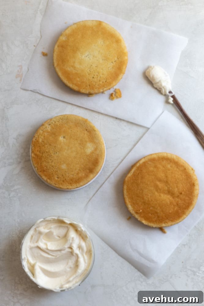 Your Guide to Stunning Floral Naked Cakes 3 Three perfectly baked and leveled cake layers on a gray background, ready for stacking.