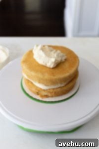 Your Guide to Stunning Floral Naked Cakes 9 A 2 layer cake frosted with buttercream on a white turntable