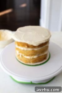 Your Guide to Stunning Floral Naked Cakes 10 A 3 layer cake with white frosting on top.