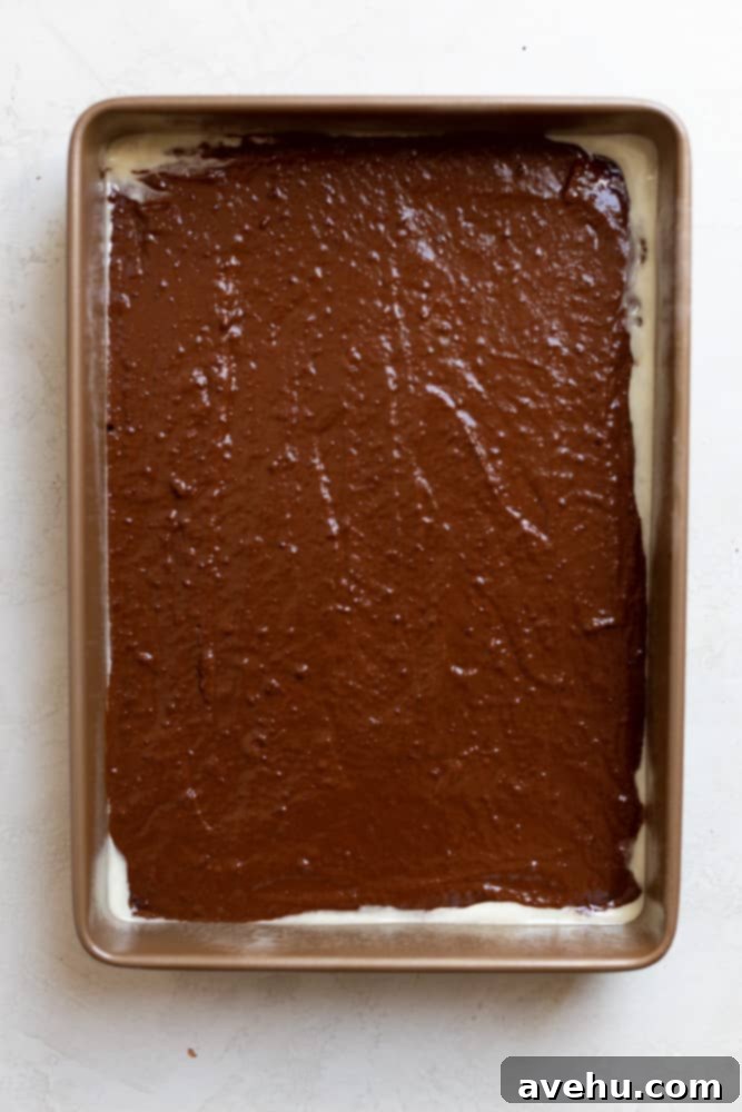 Decadent Chocolate Pumpkin Sheet Cake 4 chocolate cake batter in a 9x13 pan