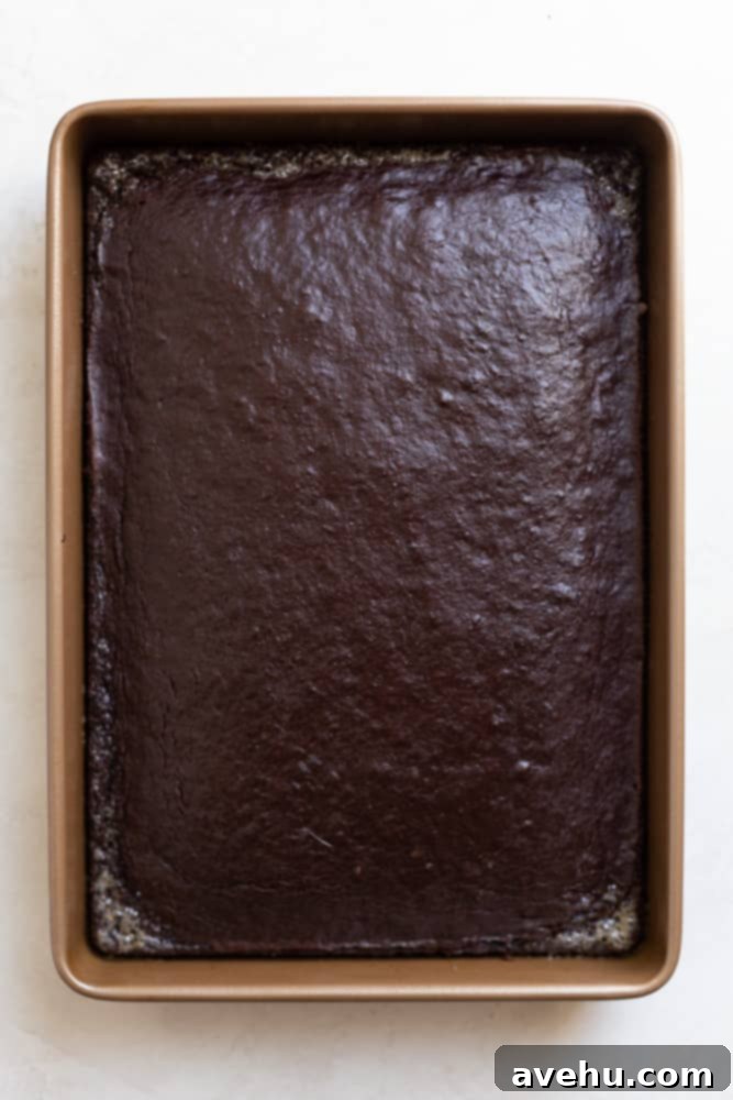 Decadent Chocolate Pumpkin Sheet Cake 5 Fully baked and cooled chocolate cake in a 9x13 pan