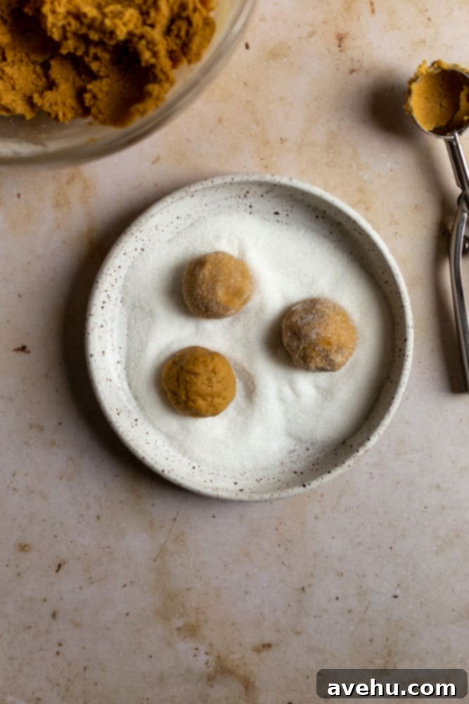 Thin and Crispy Gingersnaps Ready in 25 Minutes 6 three cookie dough balls rolling in sugar in a bowl