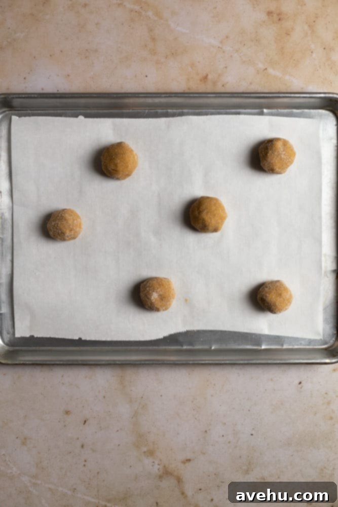 Thin and Crispy Gingersnaps Ready in 25 Minutes 7 6 cookie dough balls staggerd on a baking tray