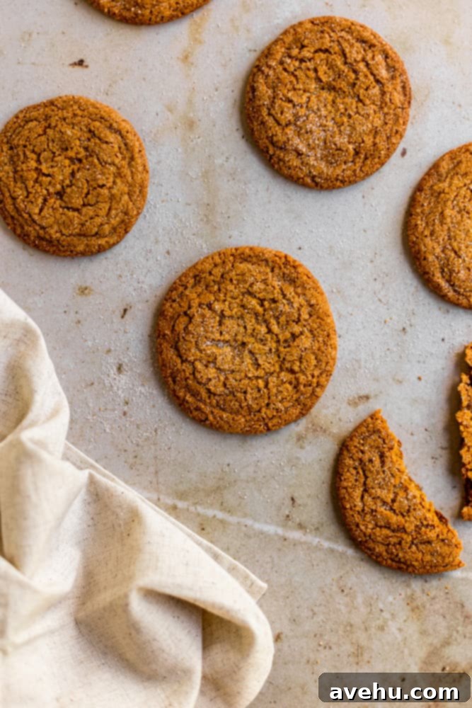 Thin and Crispy Gingersnaps Ready in 25 Minutes 8 Gingersnap cookies on laid out on a marbelized surface
