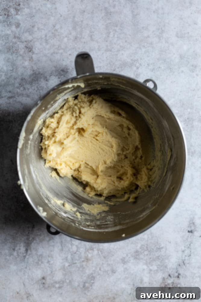 Festive 25-Minute Eggnog Snickerdoodle Cookies 4 Eggnog snickerdoodle batter in a mixing bowl, showcasing its smooth, creamy texture after combining ingredients.