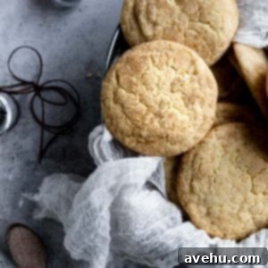 Festive 25-Minute Eggnog Snickerdoodle Cookies 9 Eggnog snickerdoodles in a tray lined with cheesecloth on a textured background