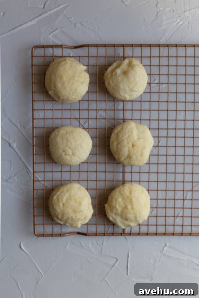 Cloud-Soft Italian Ricotta Cookies 7 Freshly baked Italian ricotta cookies, with subtly golden bottoms and soft tops, cooling on a wire rack, awaiting their sweet glaze.