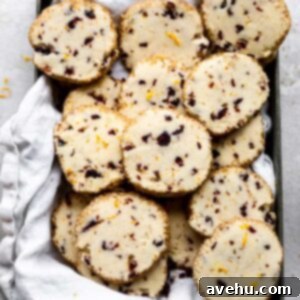 Cranberry orange shortbread cookies lying on a platter, garnished with fresh cranberries and orange zest, highlighting their festive appeal.