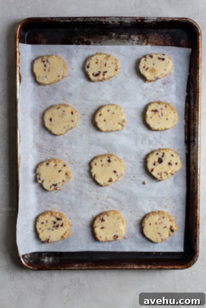 Cloudlike Cranberry Shortbread Delights 8 Perfectly sliced cranberry orange shortbread cookies arranged neatly on a parchment-lined baking sheet, awaiting their bake in the oven.