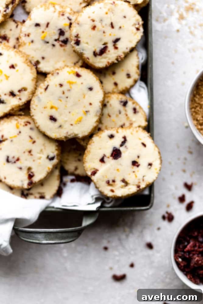 Cloudlike Cranberry Shortbread Delights 9 Close-up of freshly baked cranberry orange shortbread cookies in a festive green tin on a gray background, perfect for holiday gifting and sharing.