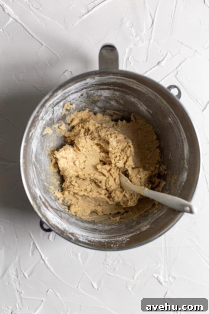 Golden Coconut Delights 3 Coconut cookie dough in a stainless steel bowl after all ingredients are mixed.