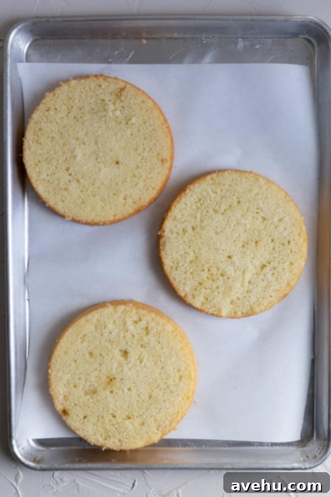 Lush Berry Chantilly Layers 4 Three baked Chantilly cake layers with tops leveled off