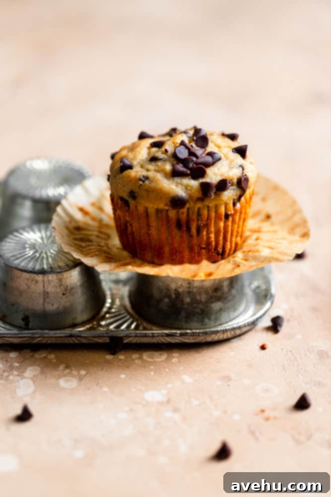 Simple and Scrumptious Banana Chocolate Chip Muffins 2 A chocolate chip banana muffin sitting on top of an overturned muffin pan, showcasing its domed top and visible chocolate chips.