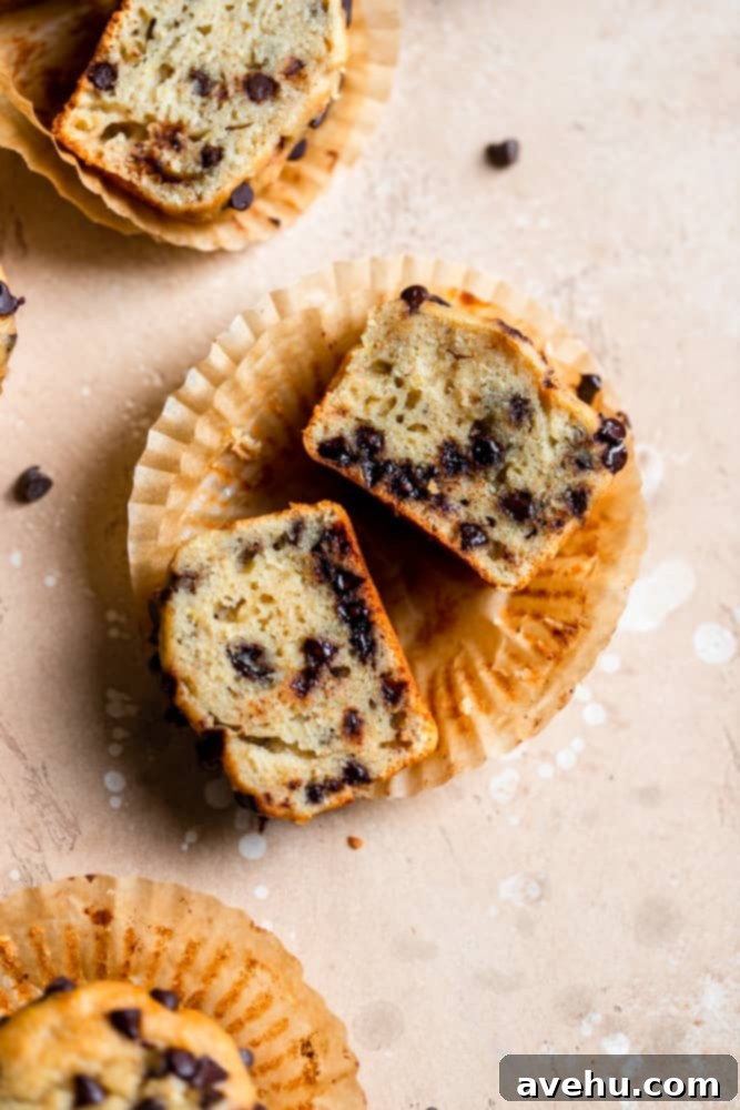 Simple and Scrumptious Banana Chocolate Chip Muffins 8 A perfectly baked chocolate chip banana muffin cut in half, revealing its moist crumb and melted chocolate chips.