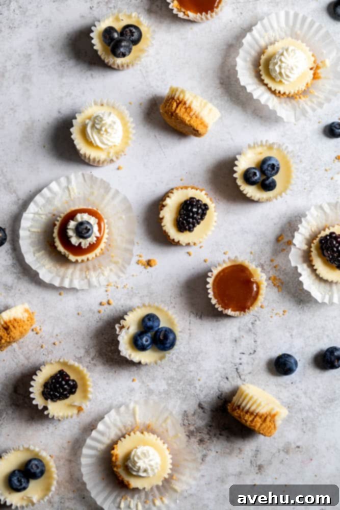 Irresistible Mini Cheesecake Treats 2 Mini cheesecakes topped with different toppings like caramel and berries on a white surface