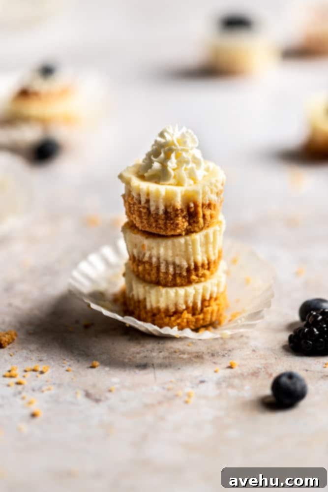 Irresistible Mini Cheesecake Treats 8 Mini cheesecake bites stacked on top of each other and topped with whipped cream