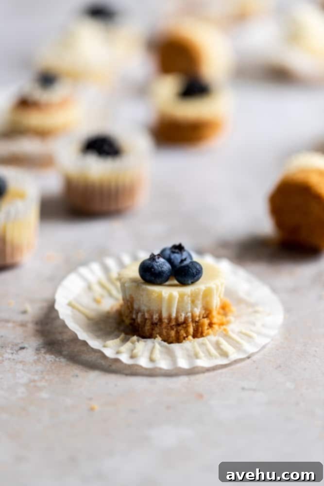 Irresistible Mini Cheesecake Treats 9 A mini cheesecake bite topped with blueberries