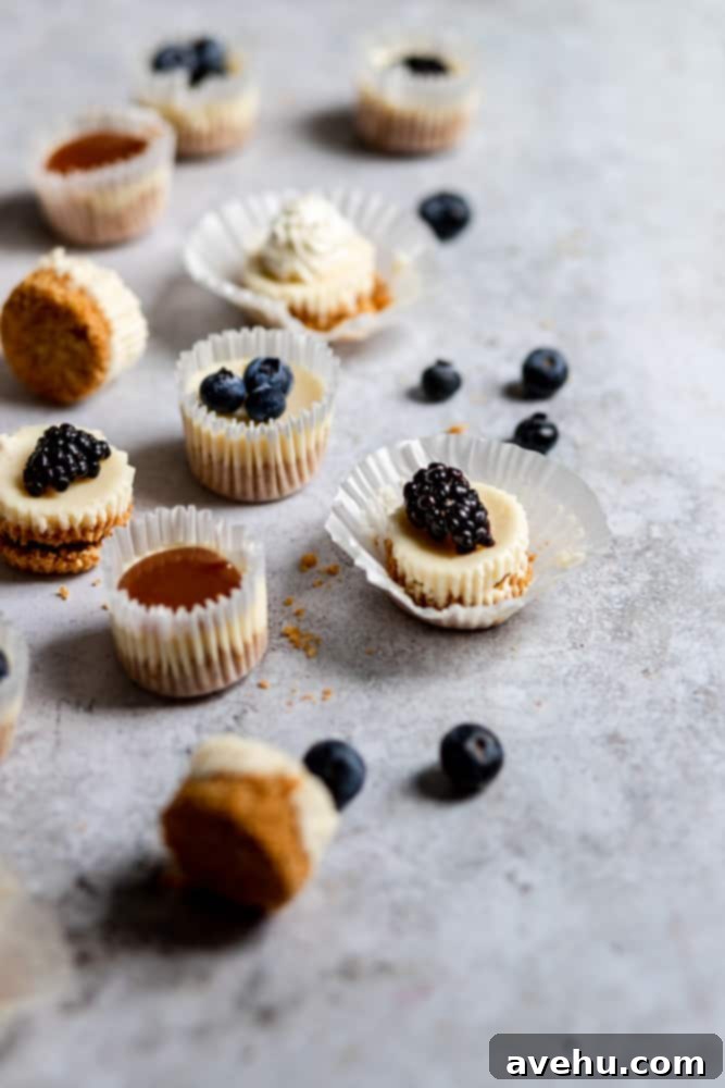 Irresistible Mini Cheesecake Treats 10 Mini cheesecake bites topped with blueberries, blackberries, and homemade caramel sauce on a gray surface.
