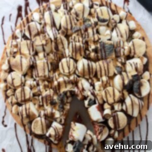 Mega Smores Cookie Cake 2 S'mores Giant Cookie Cake with toasted marshmallows.