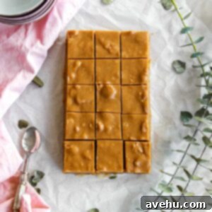 Effortless Cookie Butter Fudge 2 img 758 5