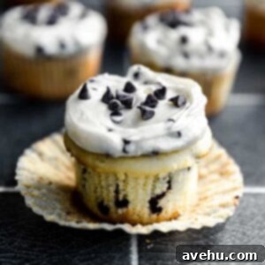 Cloud Nine Chocolate Chip Cupcakes 2 A chocolate chip cupcake with its liner pulled out on a black tile surface, ready to be enjoyed.