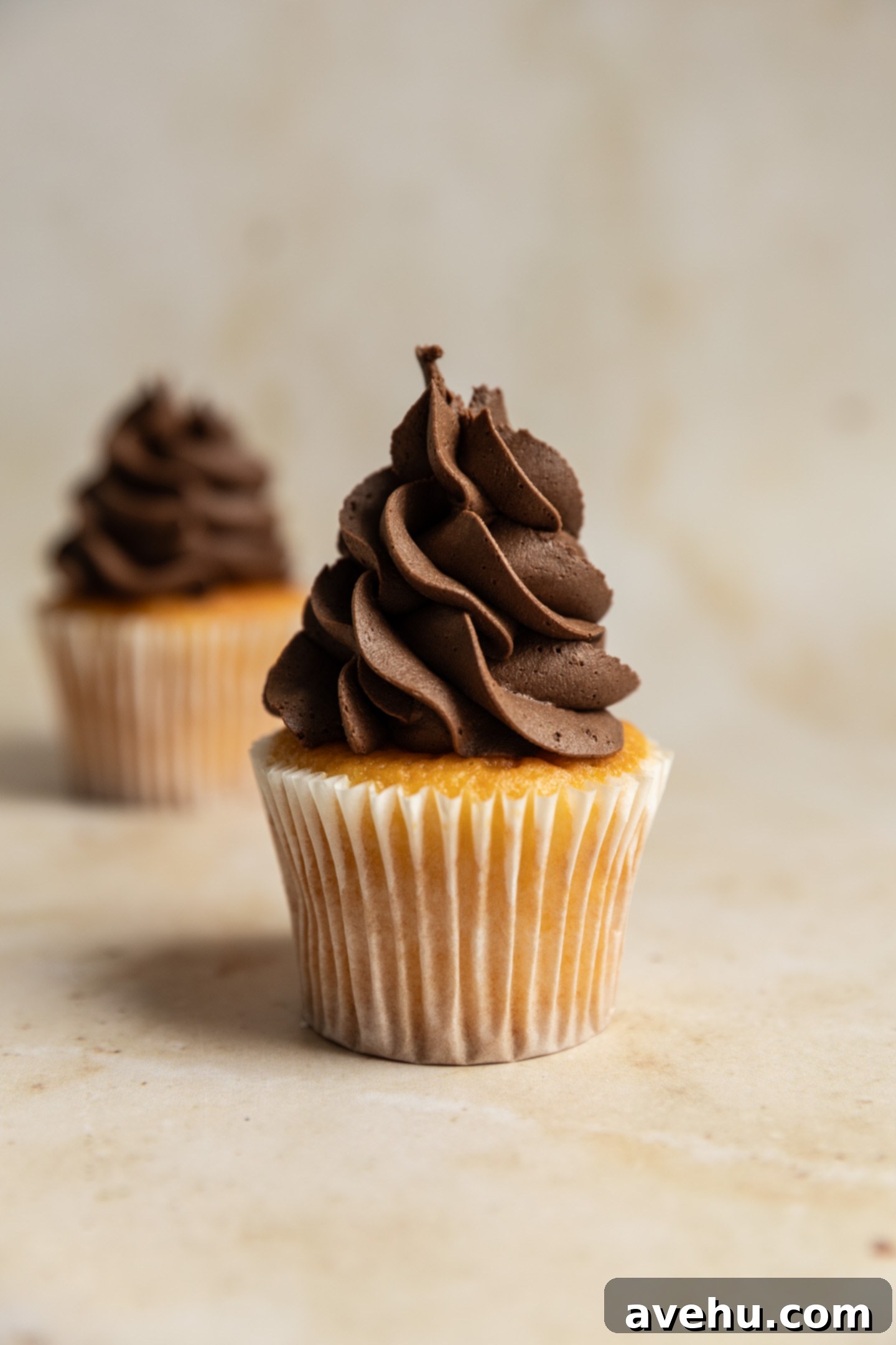 5-Minute Cocoa Chocolate Buttercream Frosting 2 A vanilla cupcake expertly piped with rich, fluffy chocolate buttercream frosting, ready to be enjoyed.