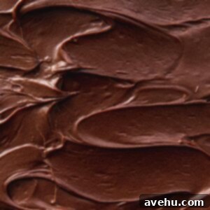 Decadent 5 Minute Brownie Frosting 2 Swirls of chocolate frosting