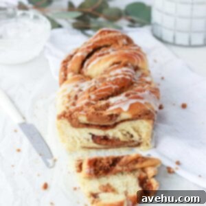 Unforgettable Cookie Butter Babka Bliss 2 Cookie butter babka