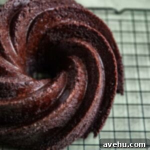 Kusursuz Bundt Keki Pişirme ve Kalıptan Kolayca Çıkarma İpuçları 2 A close up of a chocolate bundt cake.