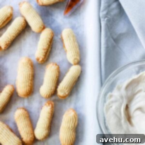 Chocolate-Dipped Butter Sandwich Cookies with Festive Sprinkles 2 Butter Sandwich Cookies with jam and chocolate