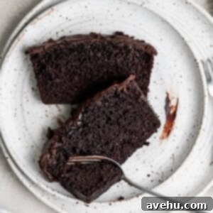 One-Bowl Wonder Chocolate Loaf 2 Two slices of chocolate loaf cake on a white plate.