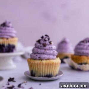 Pillowy Soft Blueberry Cupcakes 2 A beautifully frosted blueberry cupcake with vibrant purple frosting and fresh blueberry garnishes, resting on a tiny plate amongst other delectable cupcakes.