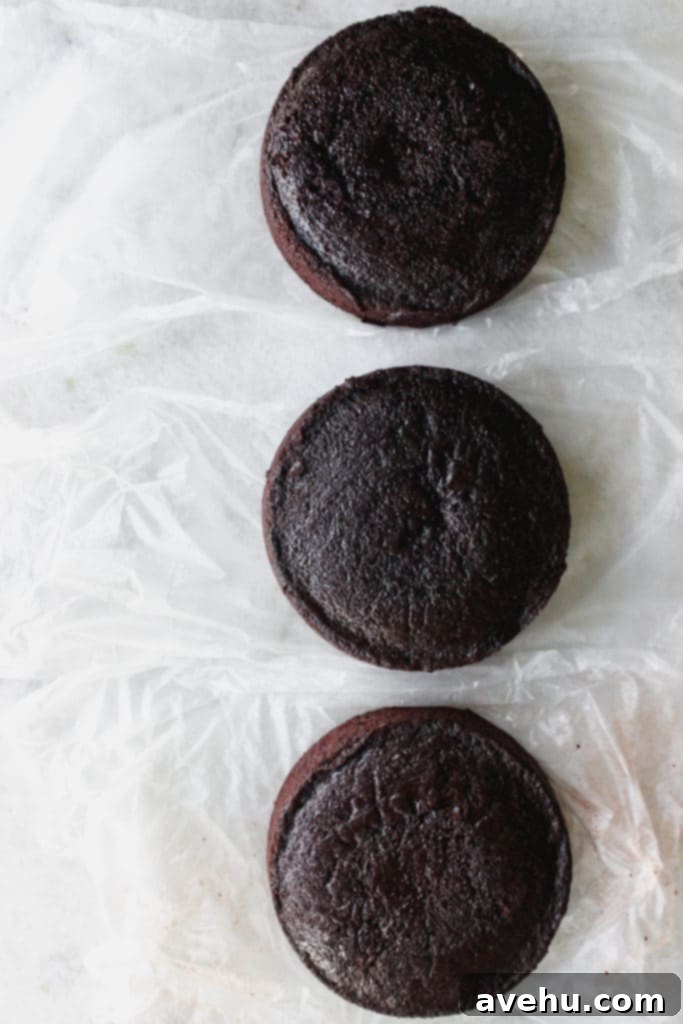 Elevate Your Cakes To Pro Level: 10 Essential Techniques 3 3 chocolate cakes on a white surface