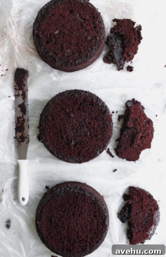 Elevate Your Cakes To Pro Level: 10 Essential Techniques 4 3 chocolate cake layers with their tops cut off on a white surface