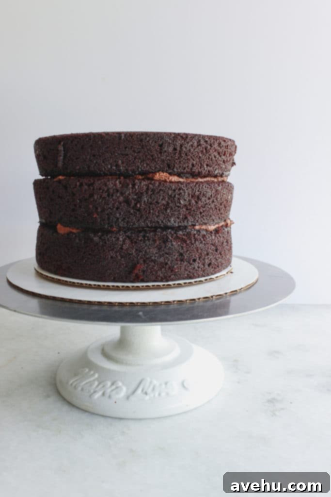 Elevate Your Cakes To Pro Level: 10 Essential Techniques 8 3 chocolate cake layers stacked with chocolate buttercream