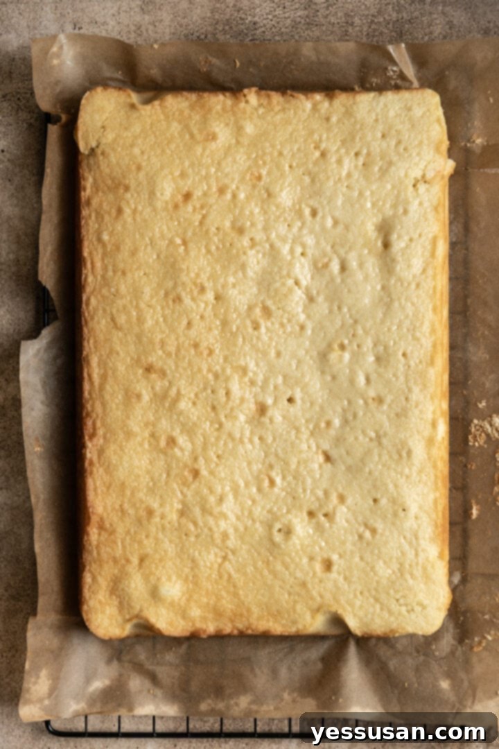 Fluffy Golden Butter Cake 8 A freshly baked, unfrosted all-butter sheet cake in a 9x13 inch pan, golden brown.